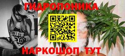мяу мяу мука Славянск-на-Кубани