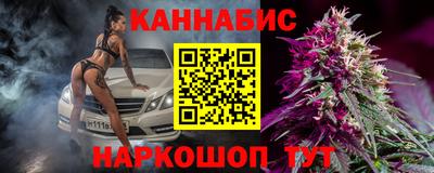 гидра Славгород