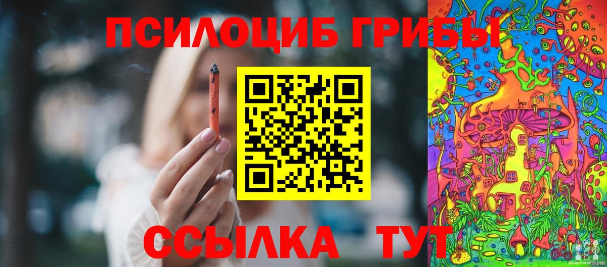 Галлюциногенные грибы Cubensis Сафоново